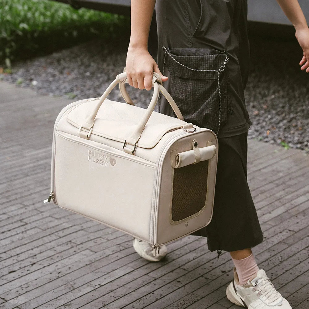 Airline-Style Soft Sided Pet Carrier for Cats and Dogs