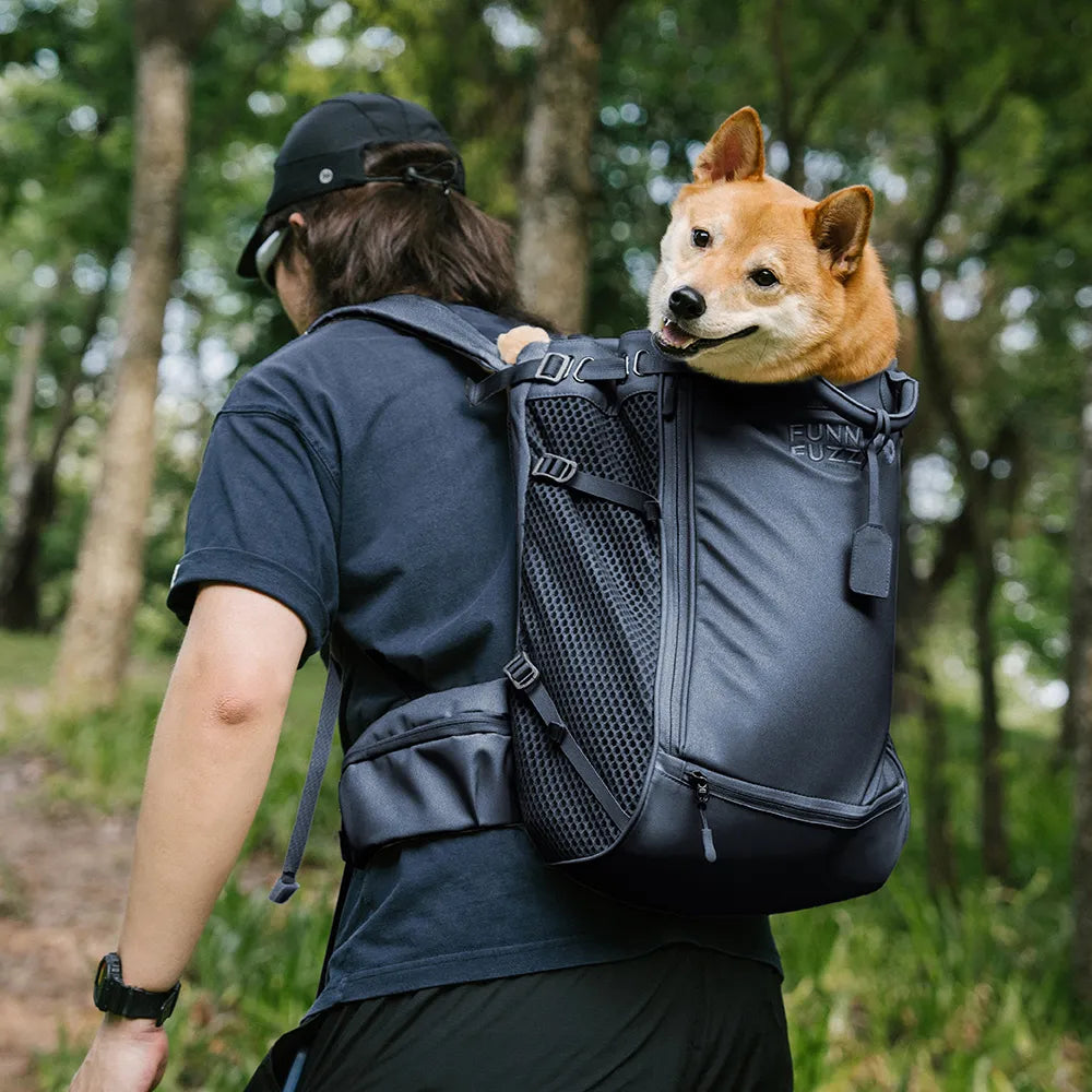 Dog Carrier Backpack for Travel and Bike Rides