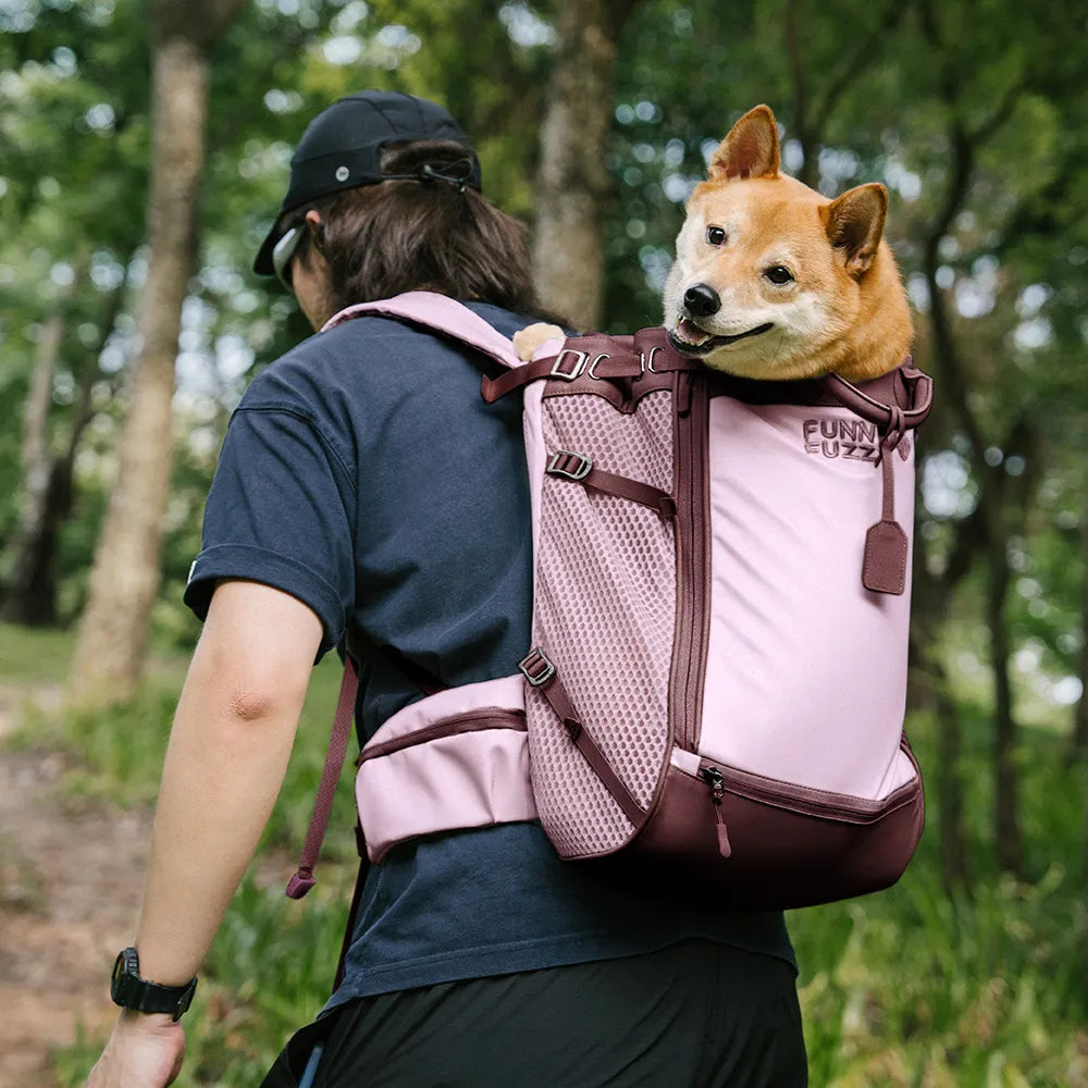Dog Carrier Backpack for Travel and Bike Rides