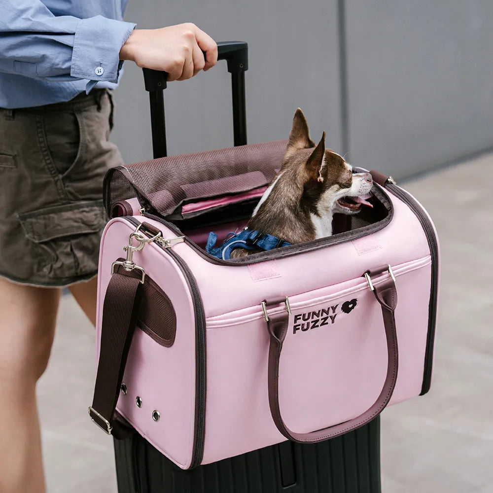 Airline-Style Soft Sided Pet Carrier for Cats and Dogs