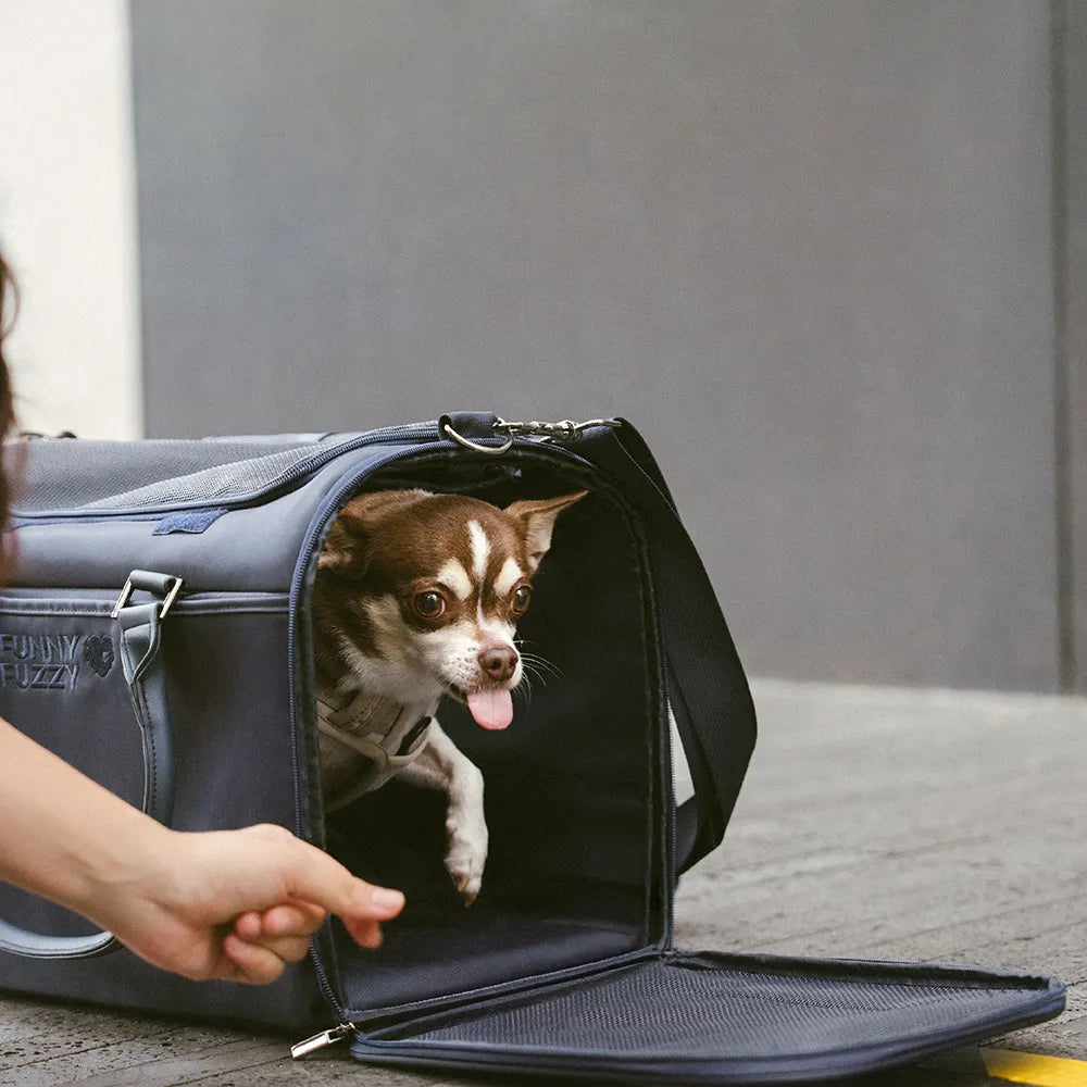 Airline-Style Soft Sided Pet Carrier for Cats and Dogs