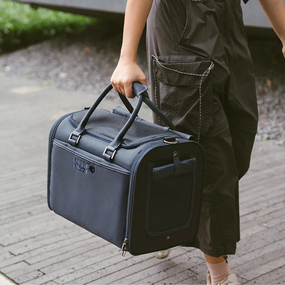 Airline-Style Soft Sided Pet Carrier for Cats and Dogs