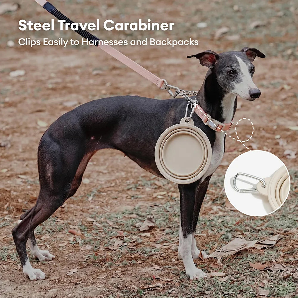 Collapsible Silicone Dog Travel Bowl Blue