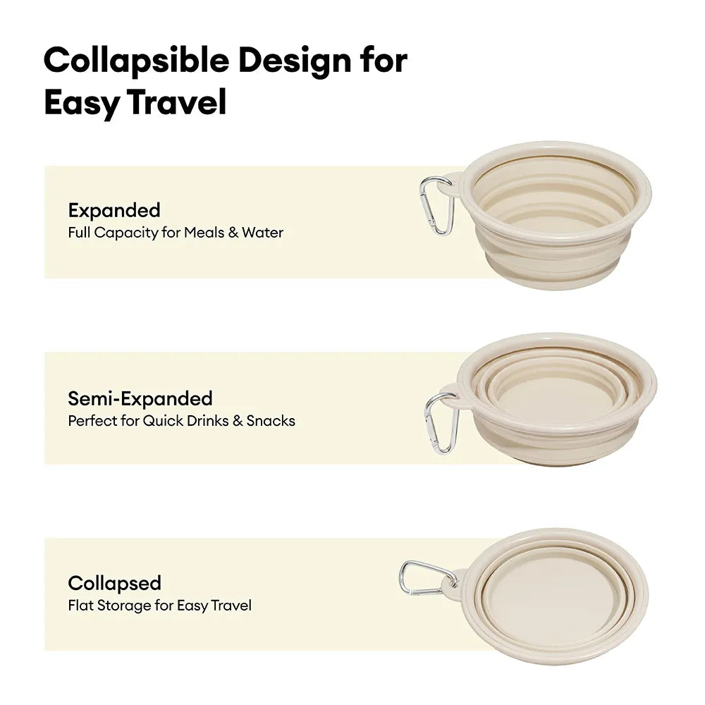 Collapsible Silicone Dog Travel Bowl