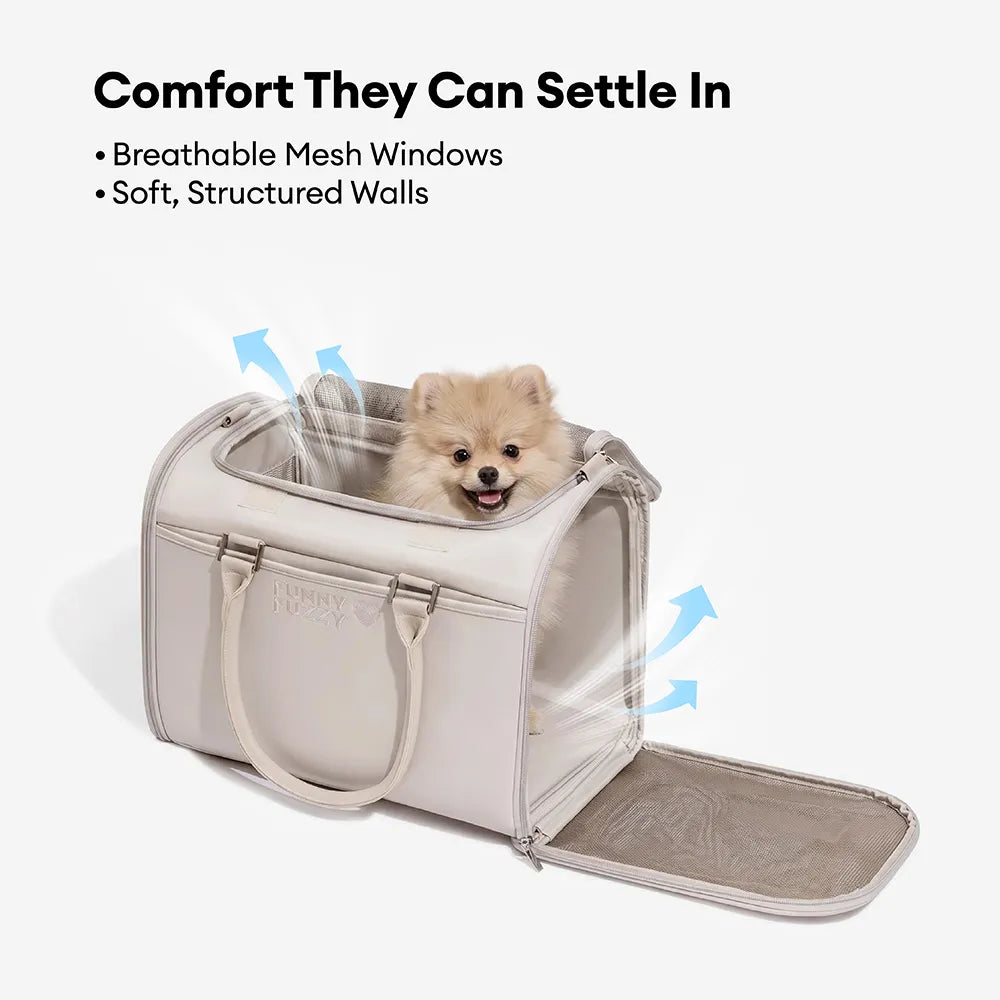 Airline-Style Soft Sided Pet Carrier for Cats and Dogs