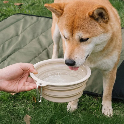 Collapsible Silicone Dog Travel Bowl Cream