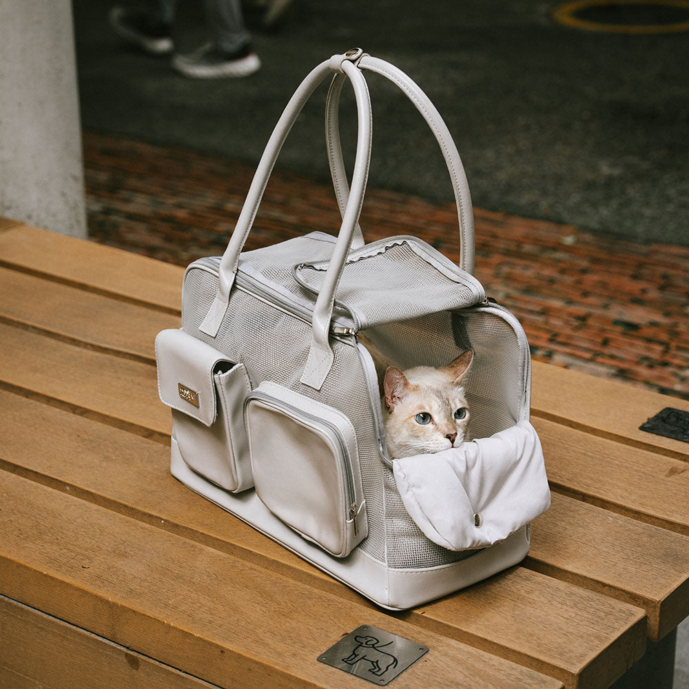 Lightweight Breathable Mesh Pet Carrier