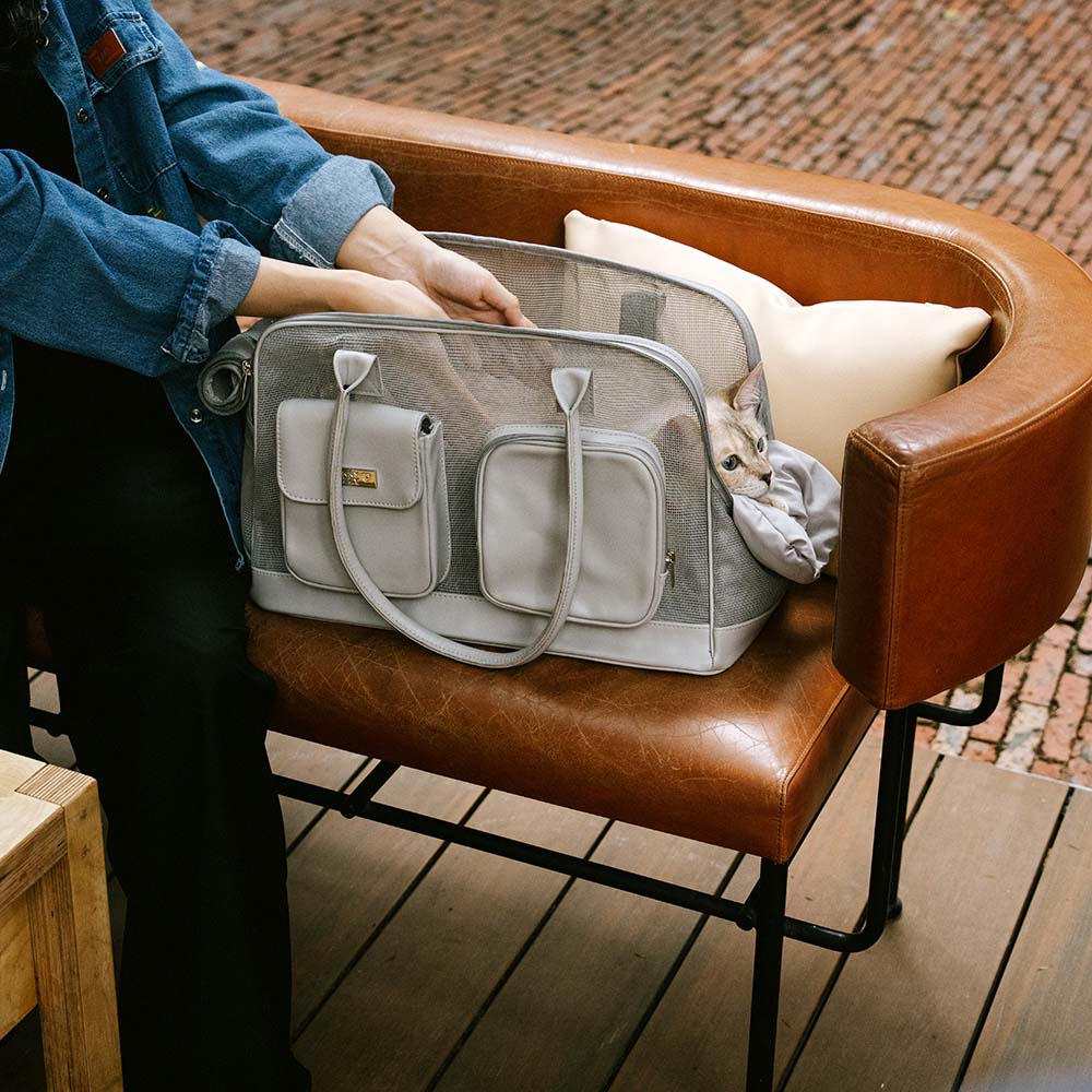 Lightweight Breathable Mesh Pet Carrier
