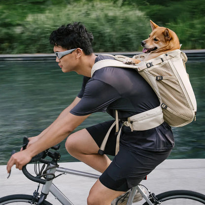 Dog Carrier Backpack for Travel and Bike Rides