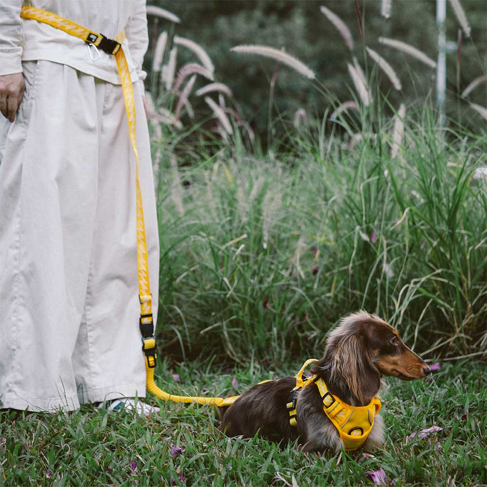Reflective Adjustable Nylon Dog Leash with Soft Handle Navy