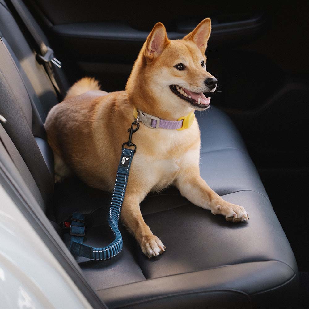 Adjustable Dog Car Seat Belt with Shock Absorber Navy+Harness S