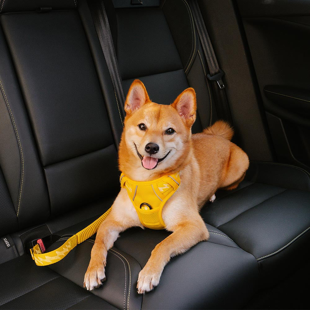 Adjustable Dog Car Seat Belt with Shock Absorber Navy Standard