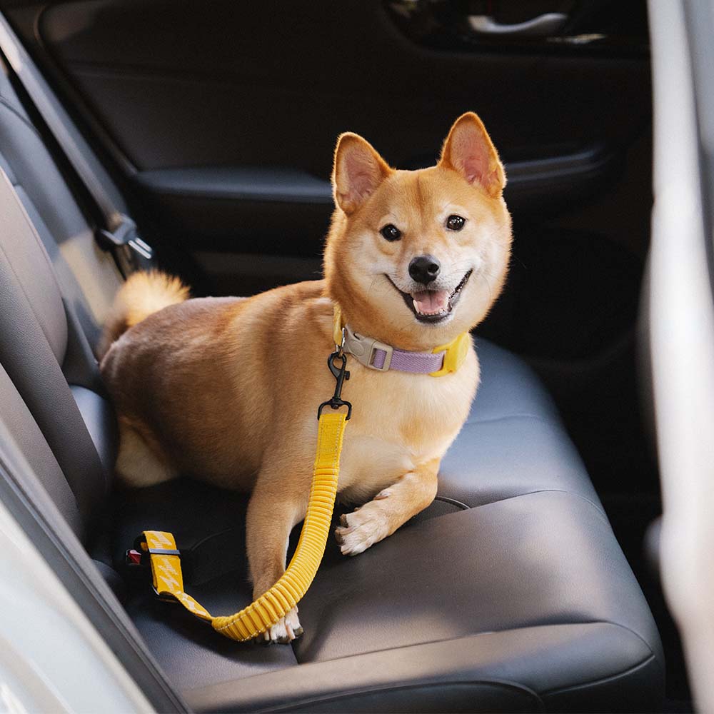 Adjustable Dog Car Seat Belt with Shock Absorber Yellow+Harness L