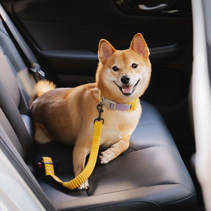 Adjustable Dog Car Seat Belt with Shock Absorber Yellow+Harness L