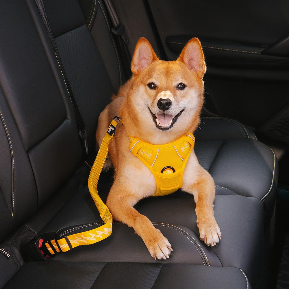 Adjustable Dog Car Seat Belt with Shock Absorber Yellow+Harness XS