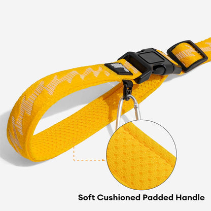 Reflective Adjustable Nylon Dog Leash with Soft Handle