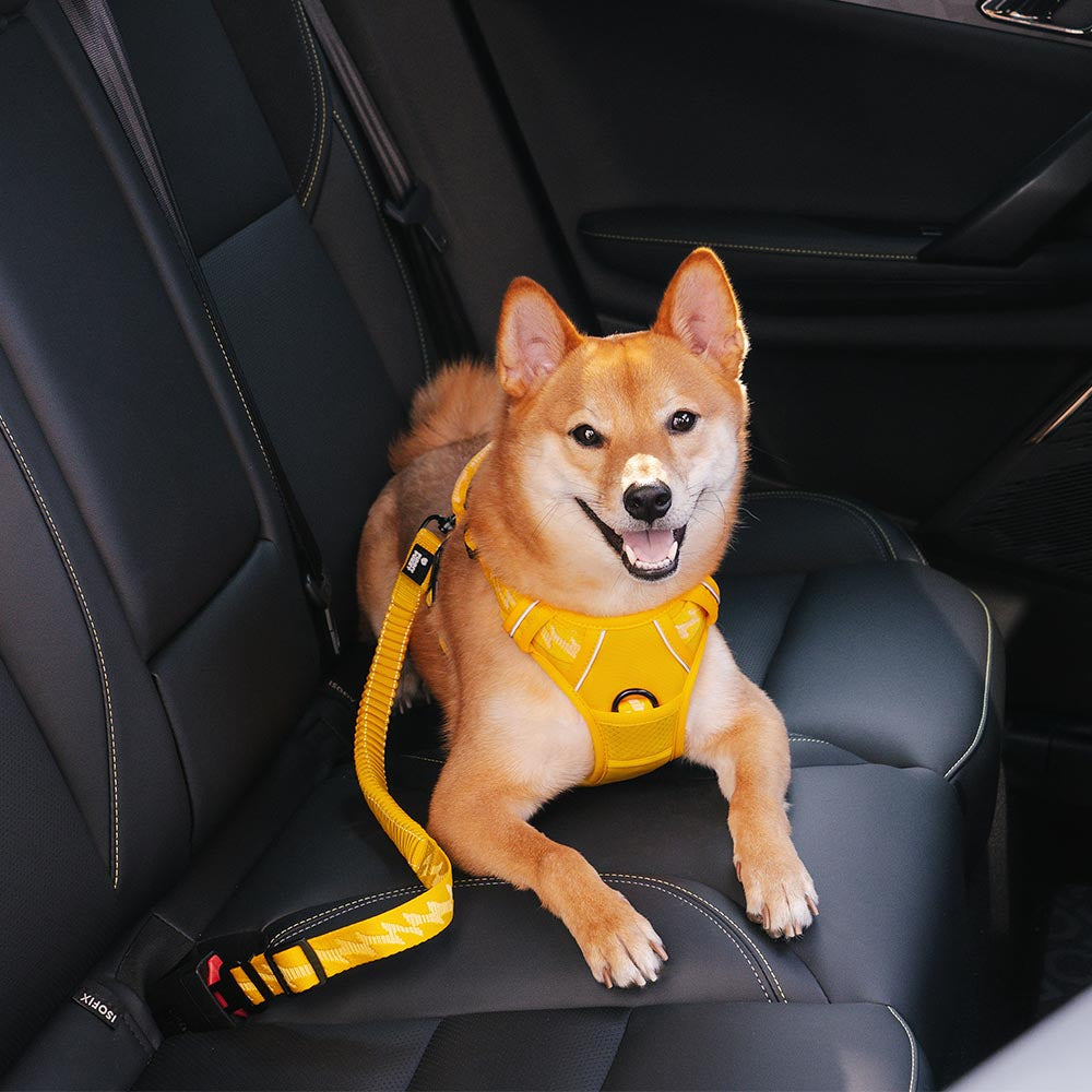 Adjustable Dog Car Seat Belt with Shock Absorber Yellow Standard