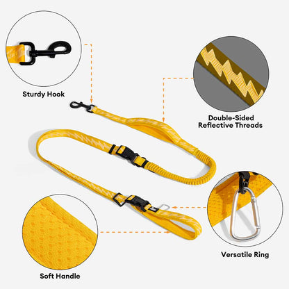 Reflective Adjustable Nylon Dog Leash with Soft Handle