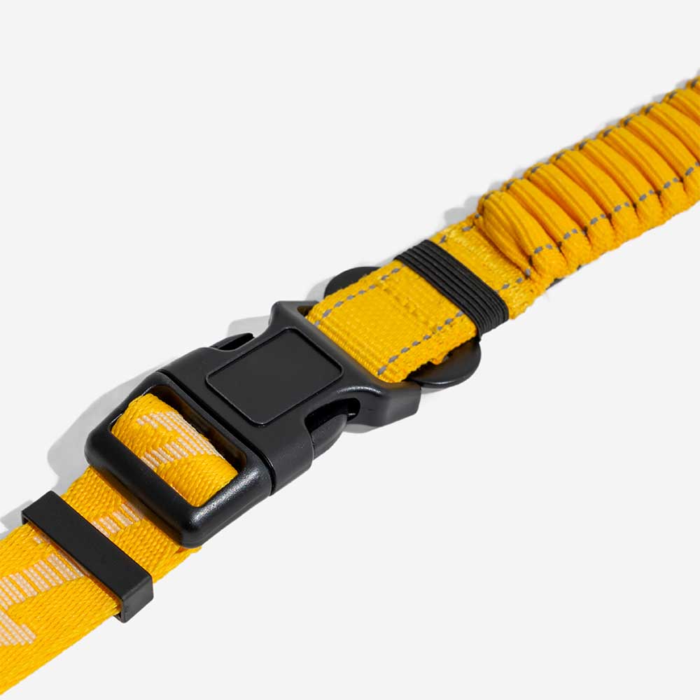 Reflective Adjustable Nylon Dog Leash with Soft Handle