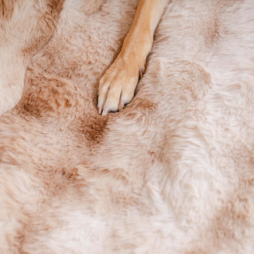 Fluffy Pet Blanket and Car Seat Protector Brown One Seat