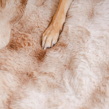 Fluffy Pet Blanket and Car Seat Protector Brown One Seat