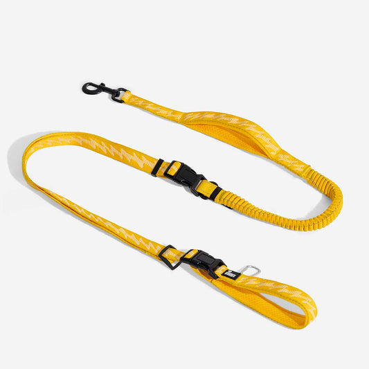 Reflective Adjustable Nylon Dog Leash with Soft Handle Yellow