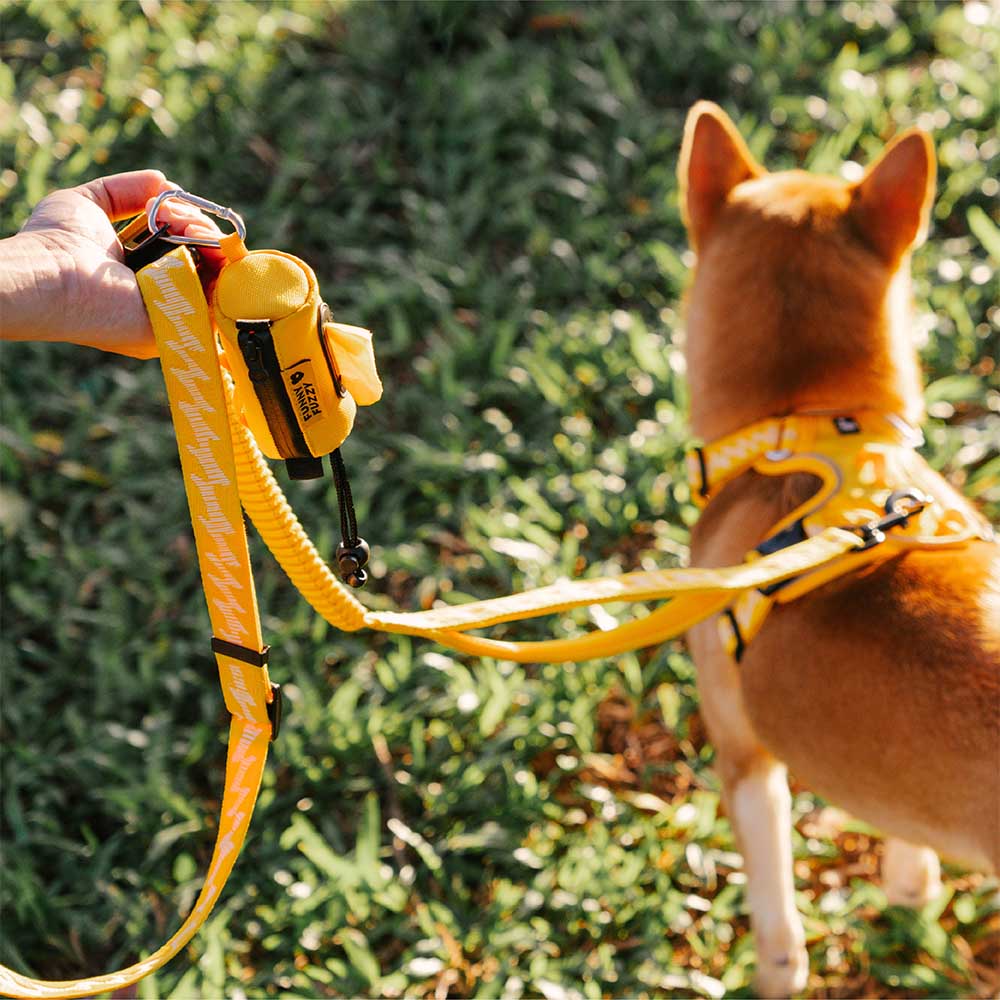 Waterproof Leash-Attach Poop Bag Dispenser