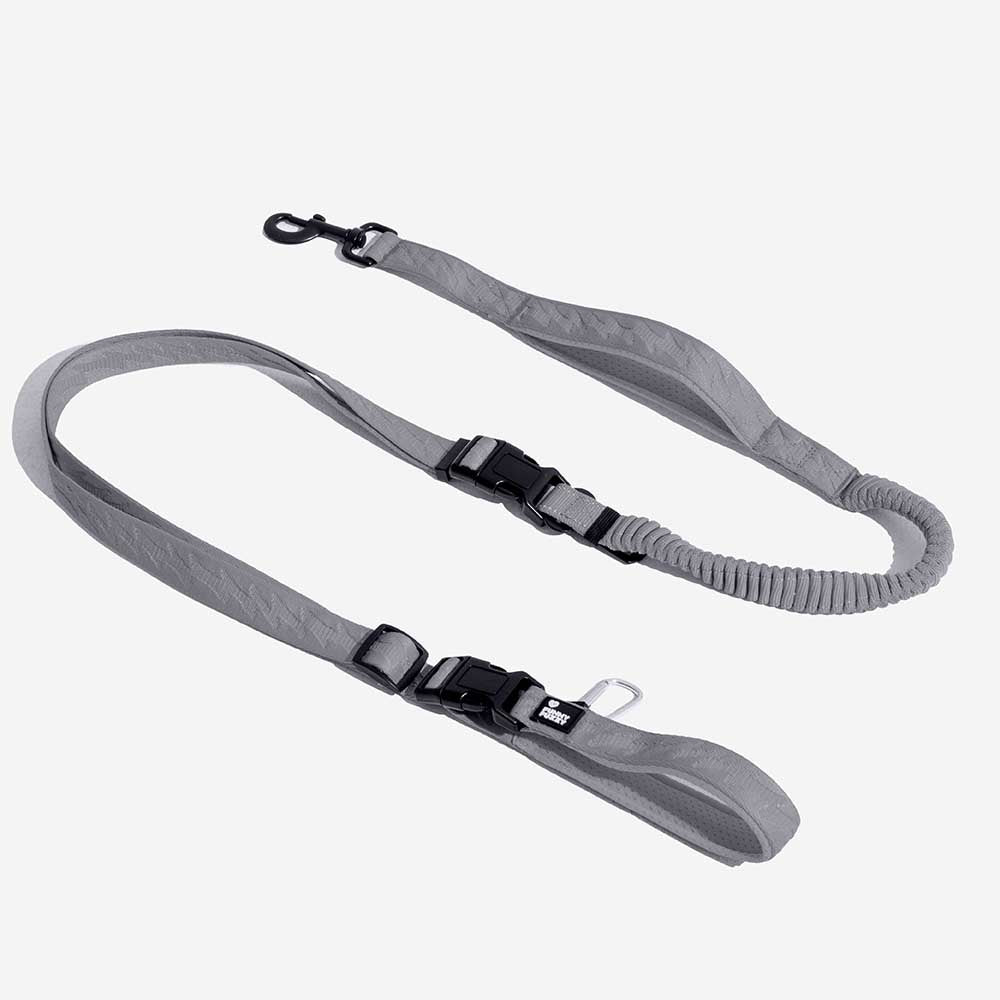 Reflective Adjustable Nylon Dog Leash with Soft Handle