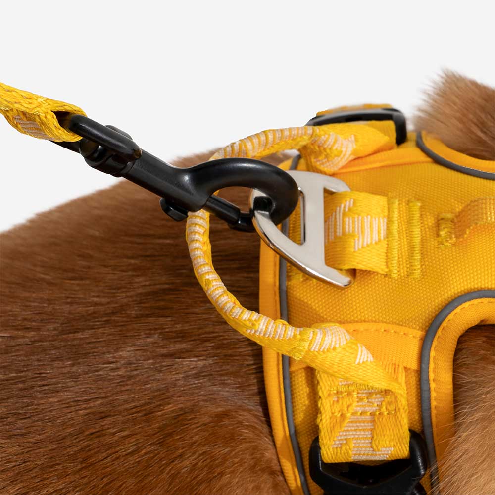 Reflective Adjustable Nylon Dog Leash with Soft Handle
