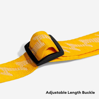 Reflective Adjustable Nylon Dog Leash with Soft Handle