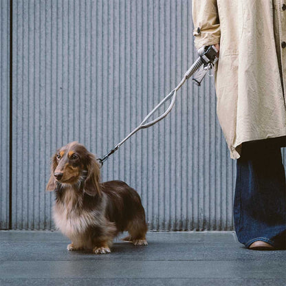 Reflective Adjustable Nylon Dog Leash with Soft Handle