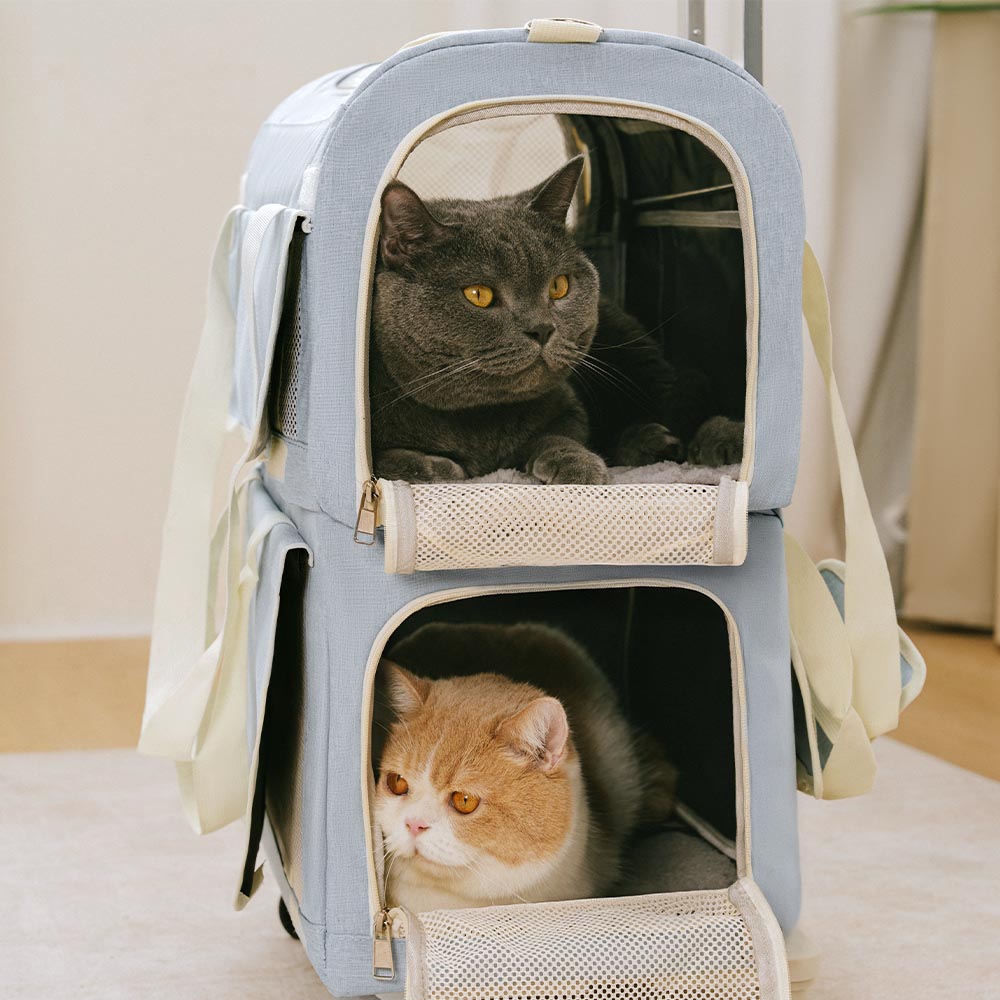 Double-Layer Rolling Multi-Cat Travel Carrier