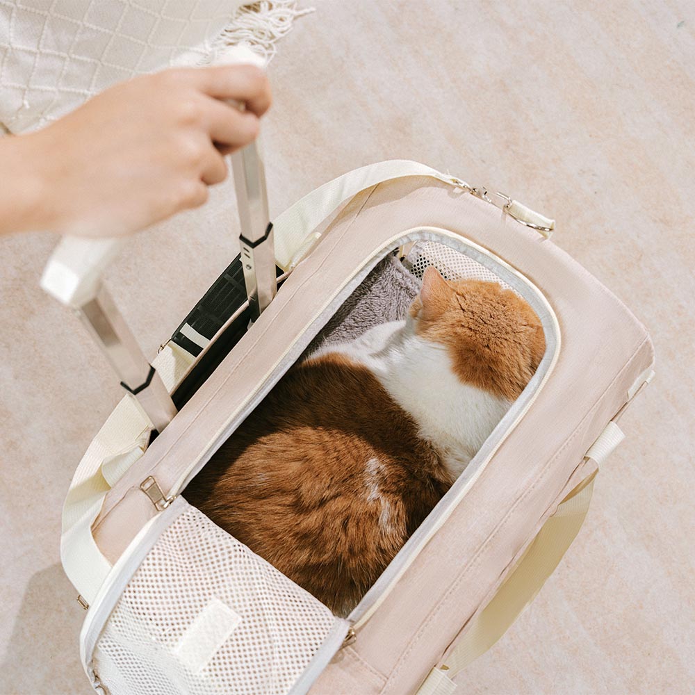 Double-Layer Rolling Multi-Cat Travel Carrier