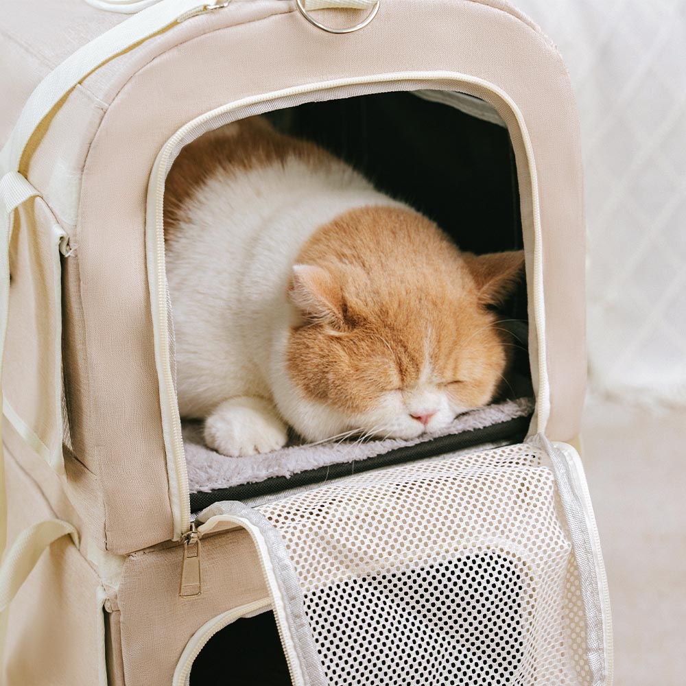 Double-Layer Rolling Multi-Cat Travel Carrier