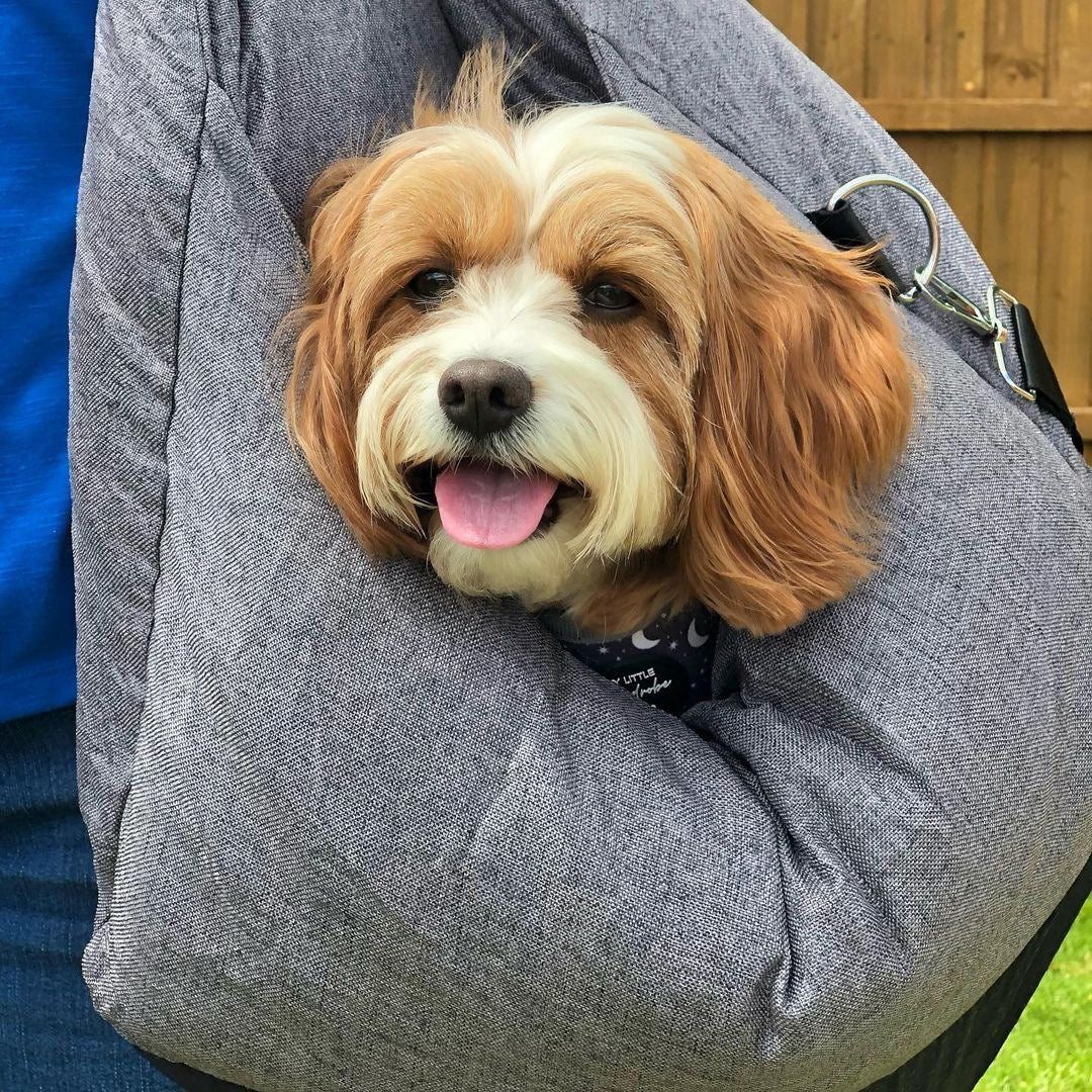 Bolstered Dog Car Seat Bed for Back Seat Travel Brown Heart Single Seat