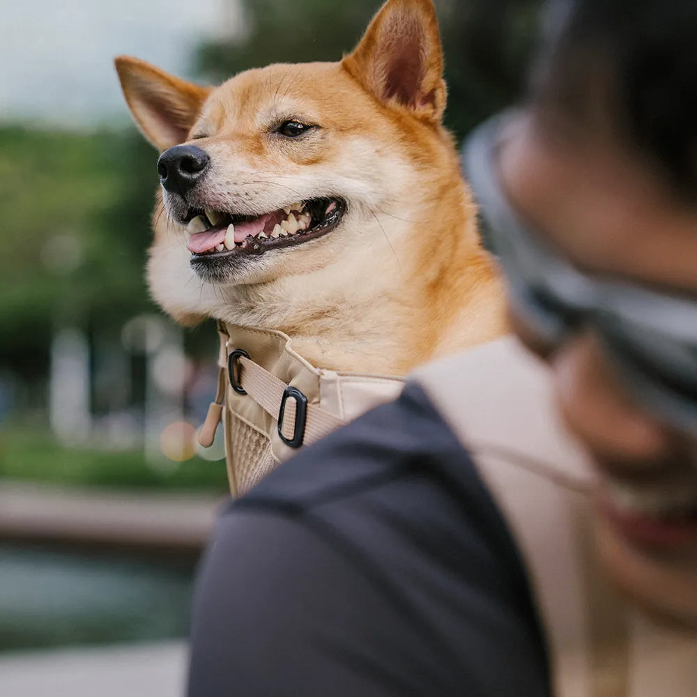 Dog Carrier Backpack for Travel and Bike Rides