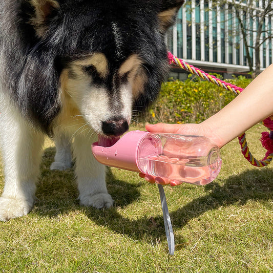 Portable Outdoor Dog Water Bottle Blue