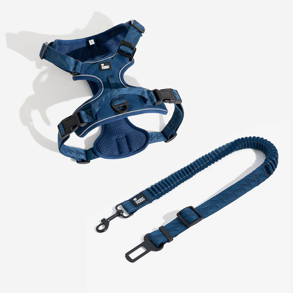 Adjustable Dog Car Seat Belt with Shock Absorber