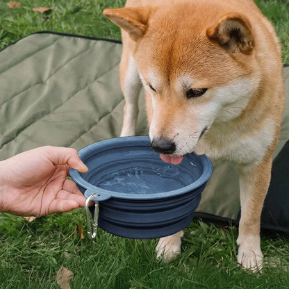 Collapsible Silicone Dog Travel Bowl