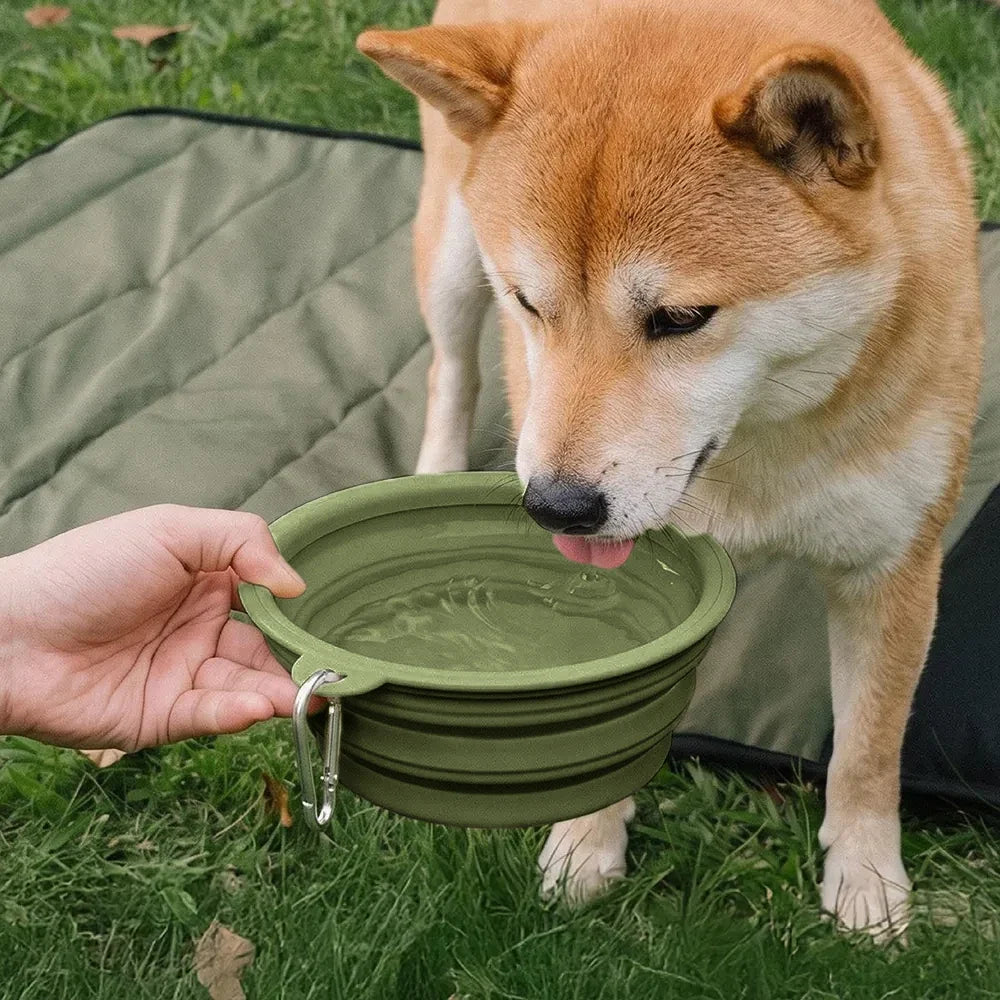 Collapsible Silicone Dog Travel Bowl