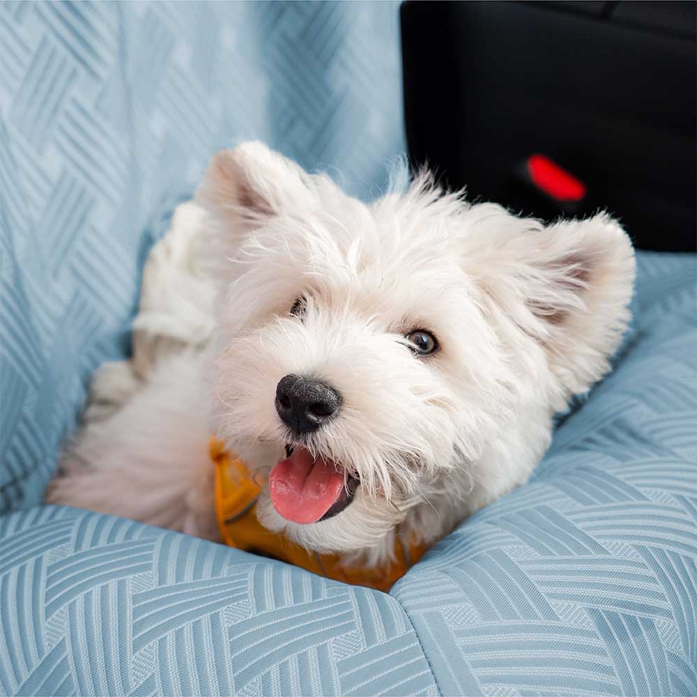 Cooling Bolster Dog Back Seat Bed