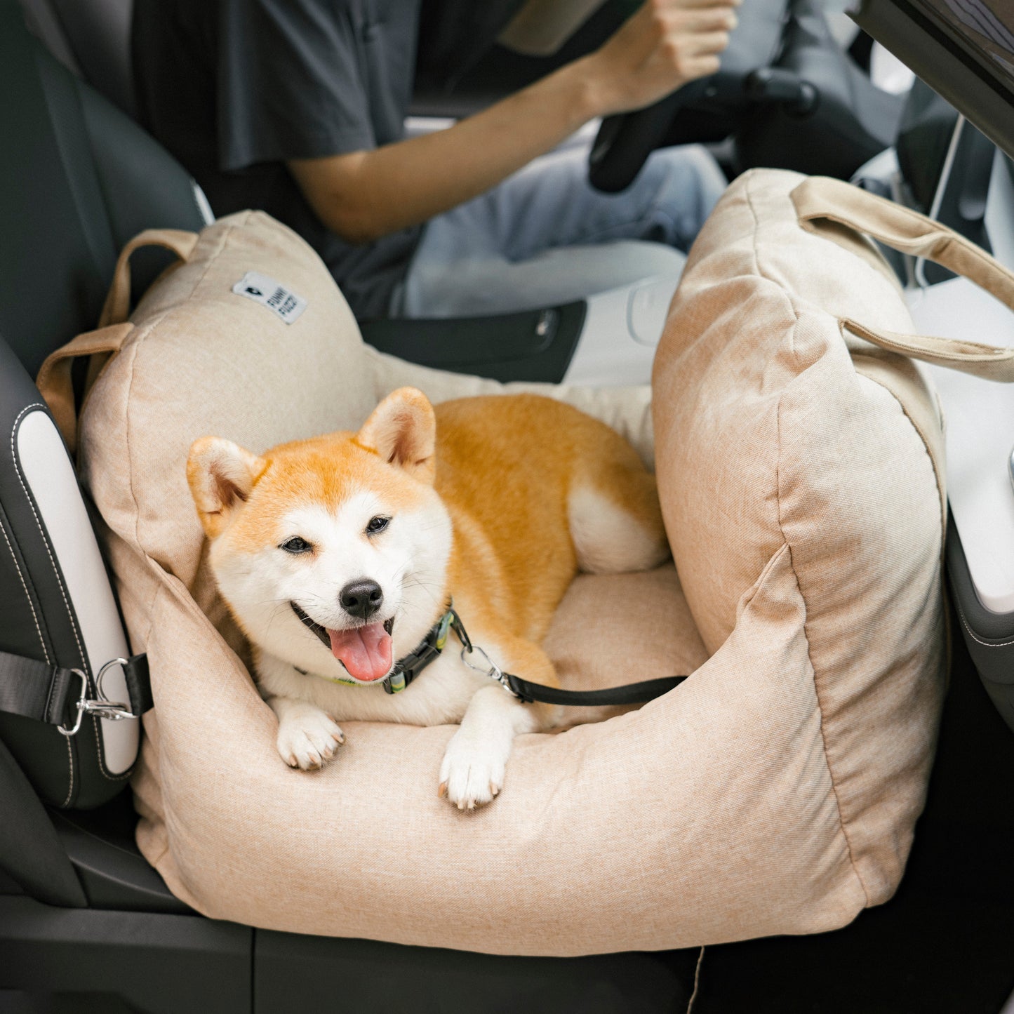 Bolstered Dog Car Seat Bed for Back Seat Travel