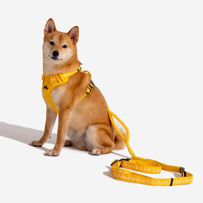 Reflective Adjustable Outdoor Dog Harness
