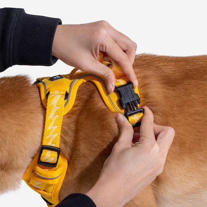 Reflective Adjustable Outdoor Dog Harness
