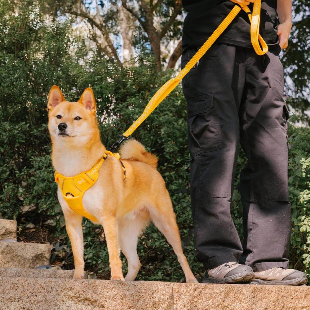 Reflective Adjustable Outdoor Dog Harness Yellow L