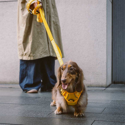 Reflective Adjustable Outdoor Dog Harness