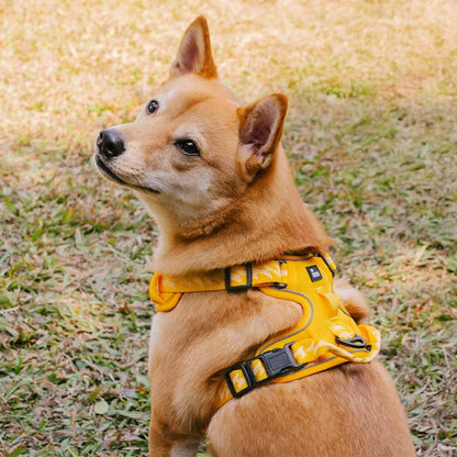 Reflective Adjustable Outdoor Dog Harness Yellow S