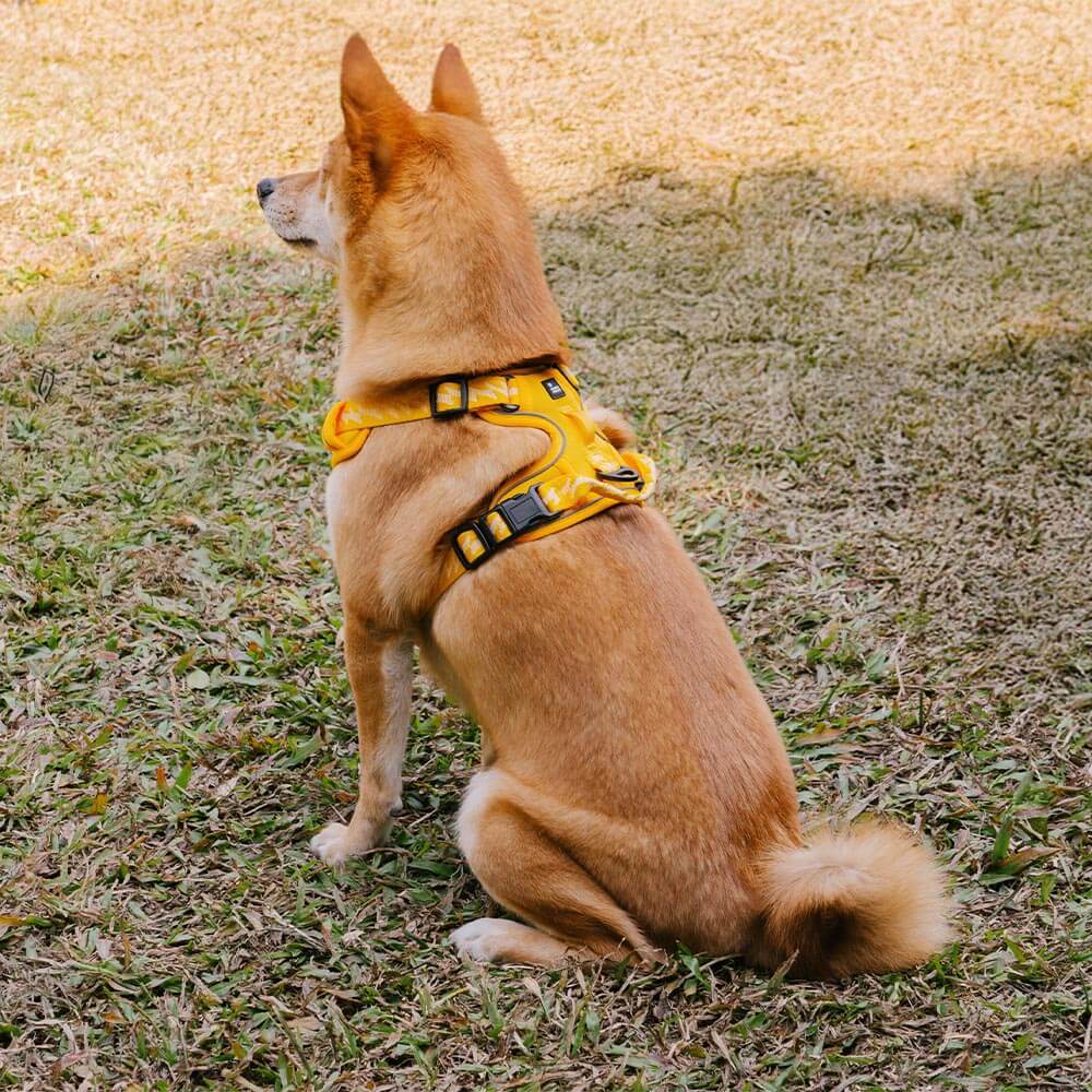 Reflective Adjustable Outdoor Dog Harness Gray XL