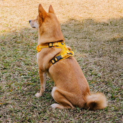 Reflective Adjustable Outdoor Dog Harness Gray XL