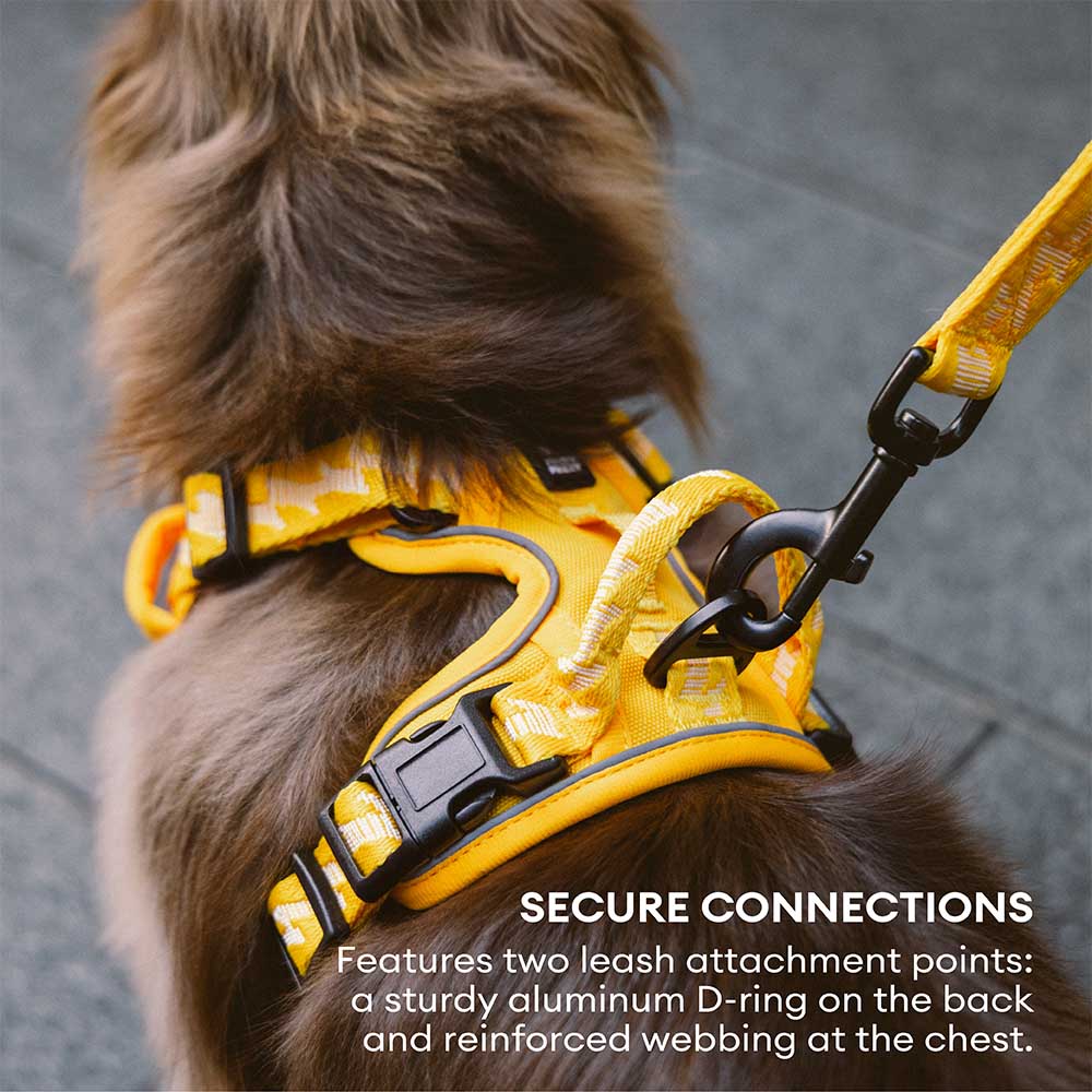 Reflective Adjustable Outdoor Dog Harness Orange M